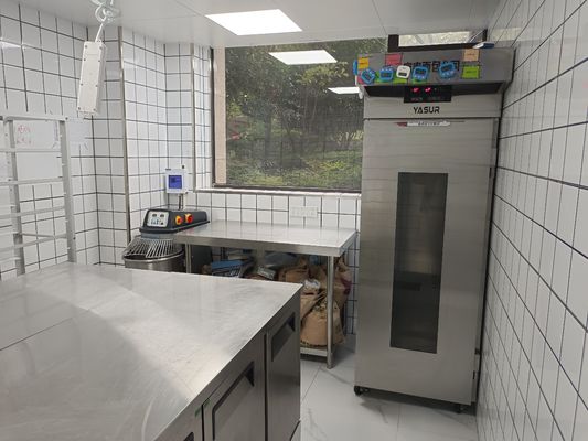 Yasur 40 vassoi raggiunge nel tipo tipo generatore del lavaggio dell'aria 2kw di Proofer 40X60cm della pasta della pizza del vapore