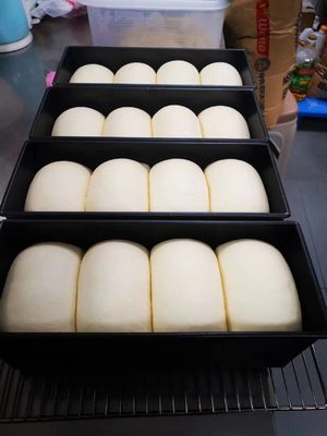 Yasur 40 vassoi raggiunge nel tipo tipo generatore del lavaggio dell'aria 2kw di Proofer 40X60cm della pasta della pizza del vapore