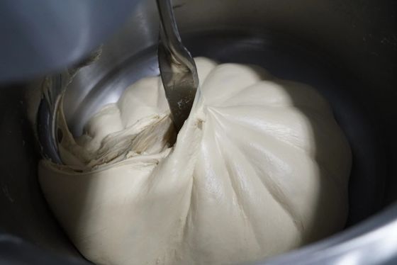impastatrice a spirale resistente di acciaio inossidabile di velocità doppia dell'impastatrice 4.5kw 50 chilogrammi con la griglia della ciotola