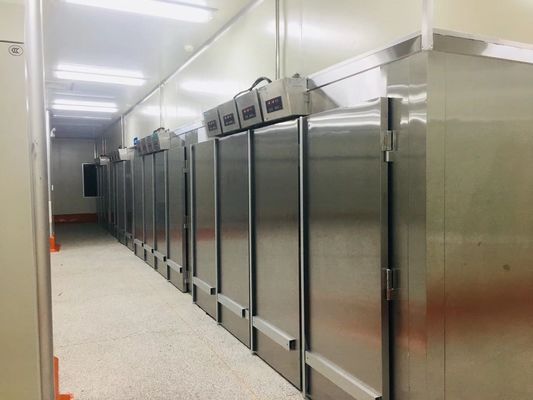 Yasur YST-1R2 arriva a fiumi il tipo pasta che il doppio finale della stanza del fermentatore di Proofer tormenta i vassoi 220V 2KW di 40X60cm